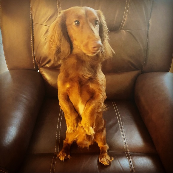 Meet your Posher, Kelli - Picture 7 of 7